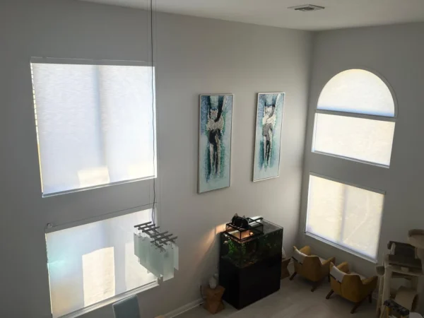 IMG-20251101-WA0280 Screen Shades