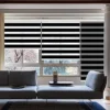 Zebra Blinds
